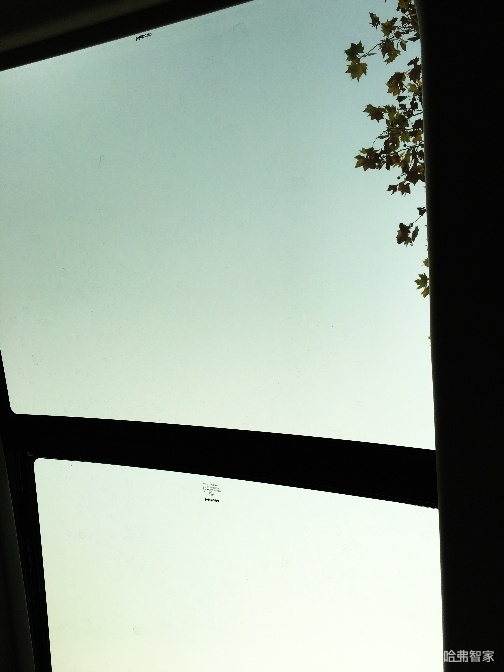 2021款哈弗f7试驾体验1.5t,沉浸式试车哈弗f7