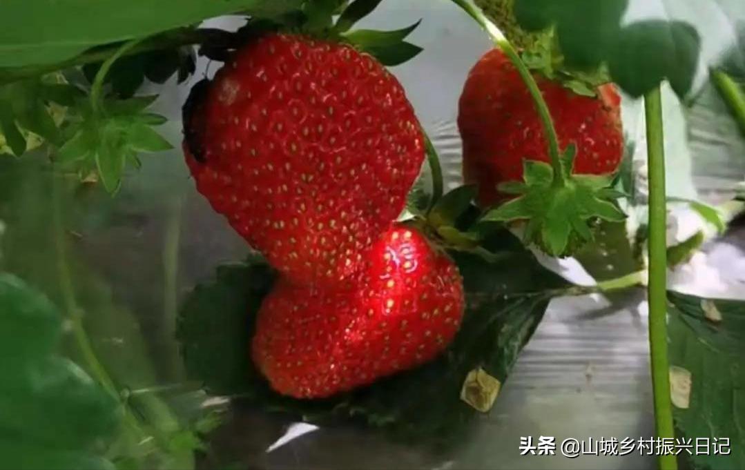 通化温泉一日游,通化温泉度假村休闲地点