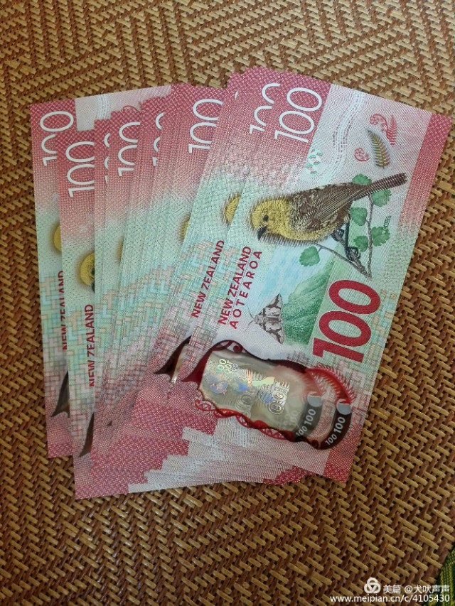 花甲后的新西兰自驾之旅(一)