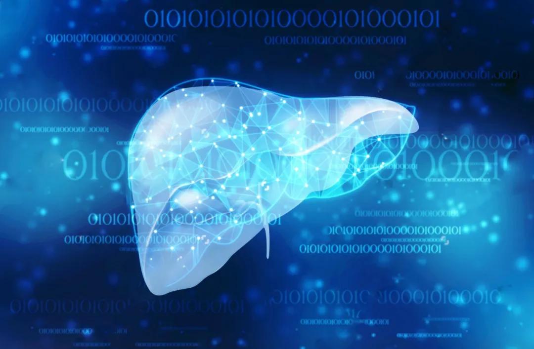 世界肾病日如何防,2020年世界肾脏日