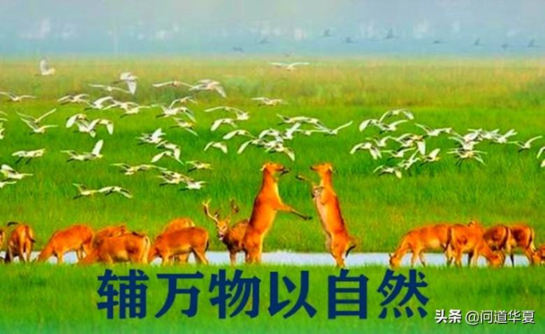 大道泛兮其可左右翻译,大道泛兮其可左右申论