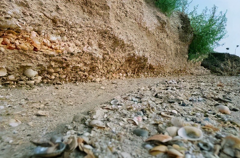 不要调侃1100万石家庄人,大家怎么调侃天津人