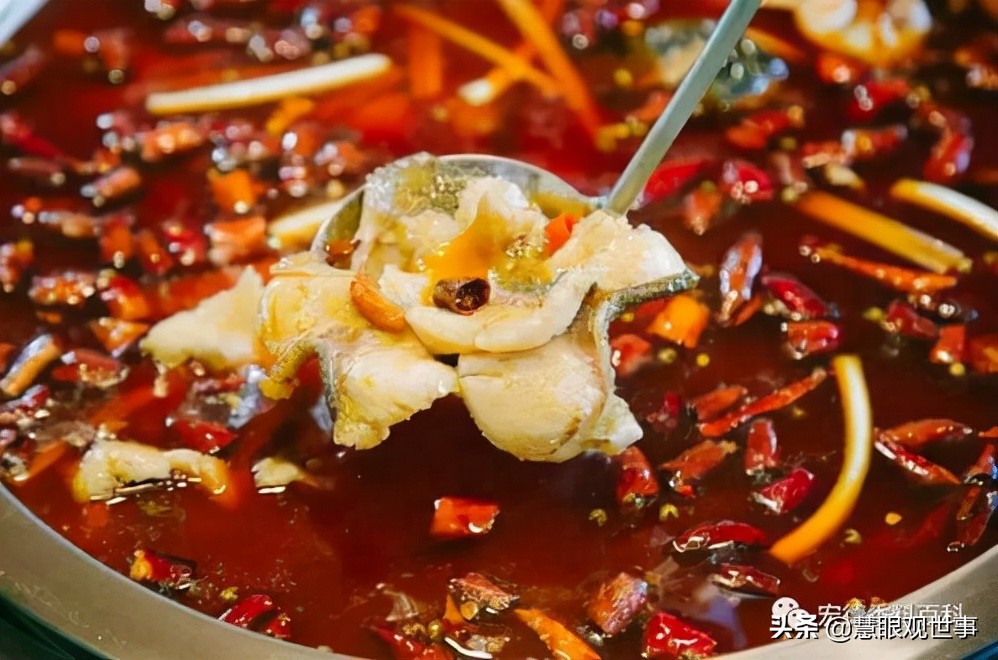 《侯海洋基层风云》中肥肠火锅鱼发生的故事