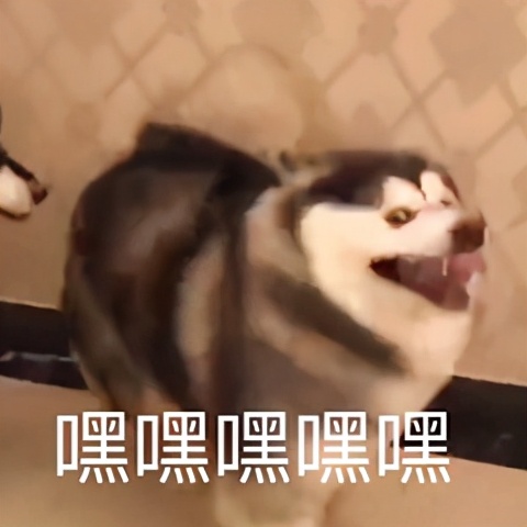 梦幻西游2齐天副本,梦幻西游齐天大圣副本五开能刷吗