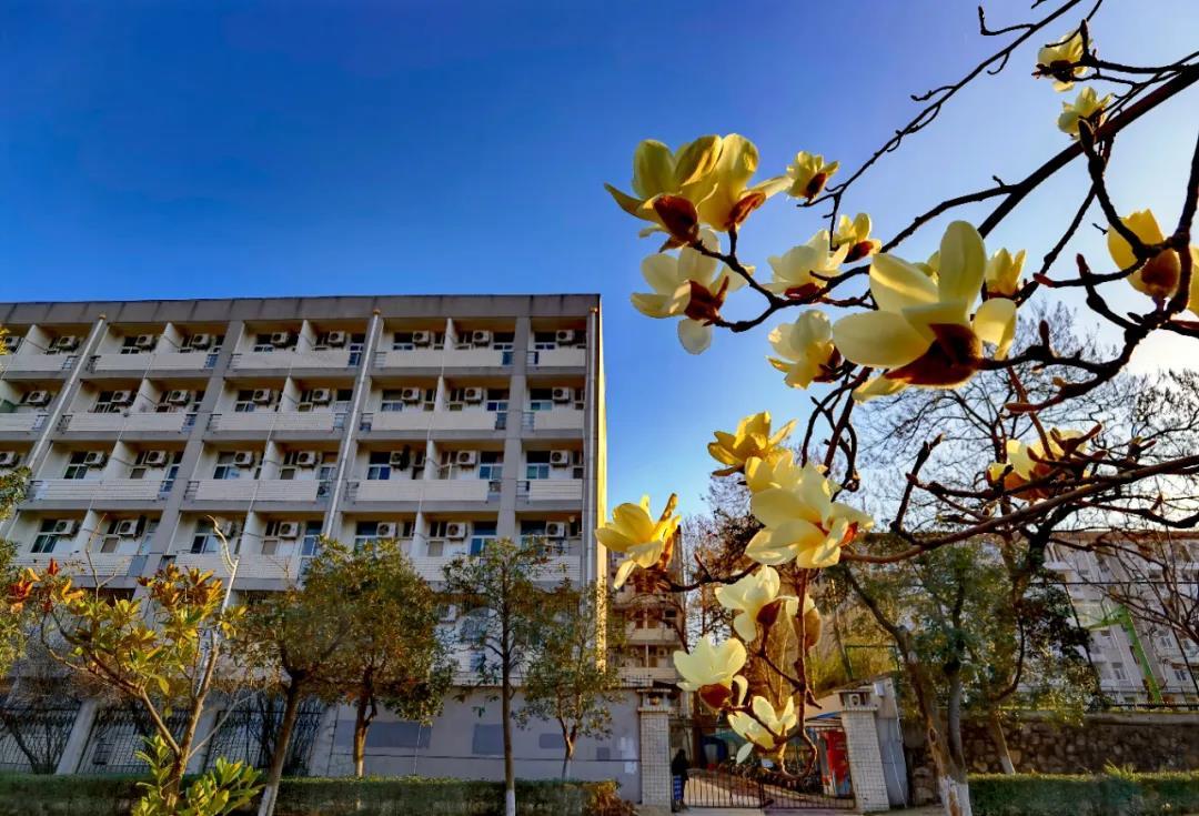 中南财经政法大学在湖北排名,中南财经政法大学财经类排名