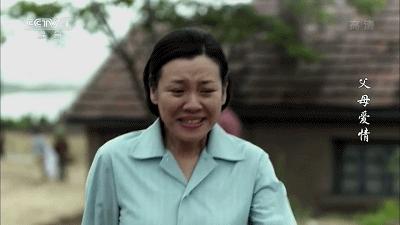 父母爱情为何拿奖,父母爱情总共获得几回奖