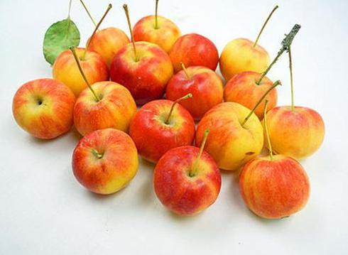 中国苹果排行前十名产量,中国苹果产量一览图