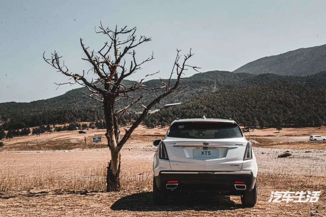 轻混48v凯迪拉克xt4,加入48v轻混就省油吗