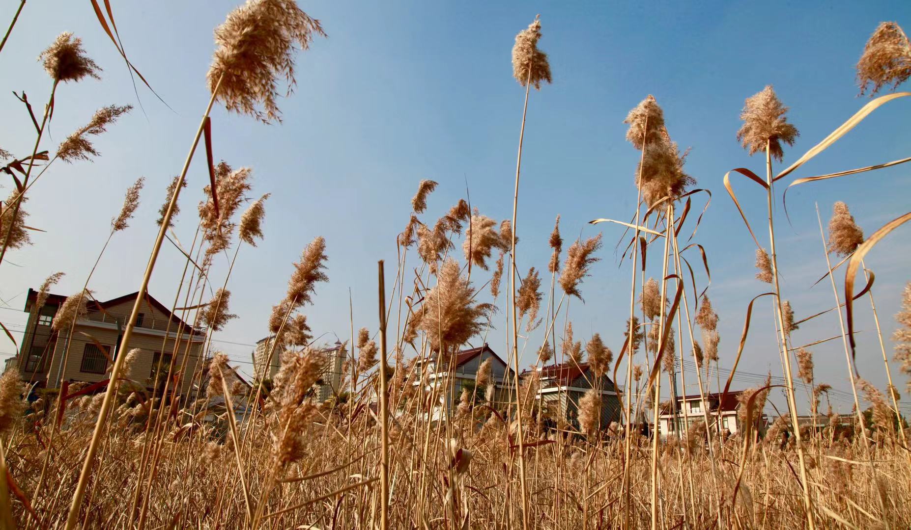 海安是千亿县吗,江苏海安经济强市