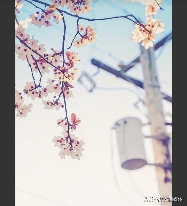 嗨!你真的了解自己吗?