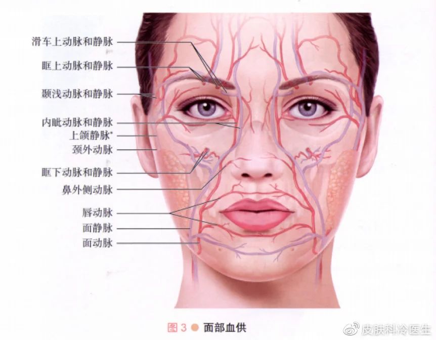 玻尿酸注射下巴的过程视频,注射玻尿酸能维持多长时间
