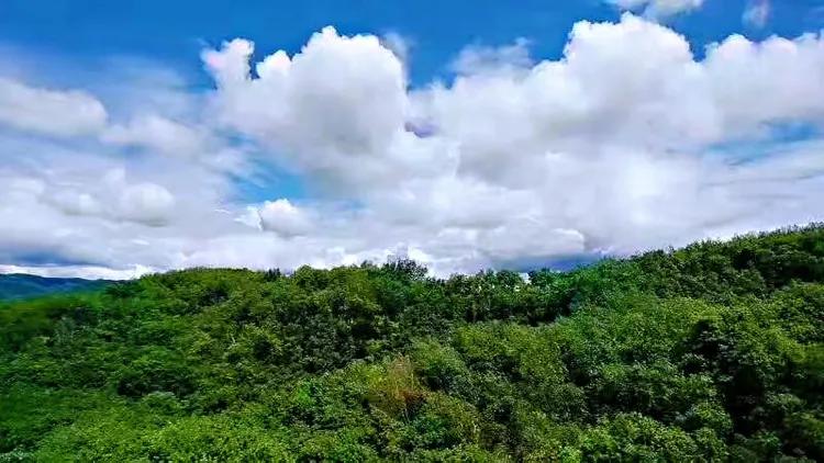 华容山水苑别墅100万,华容秀丽山水风景区