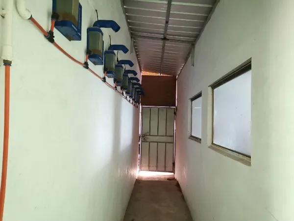 100头母猪发展到2000头需要多久,回望二十年养猪之路