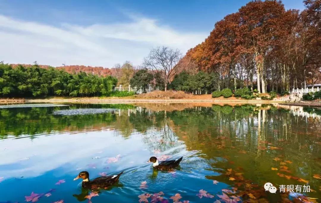 闺蜜当小三是什么体验,自己的闺蜜当小三什么感受