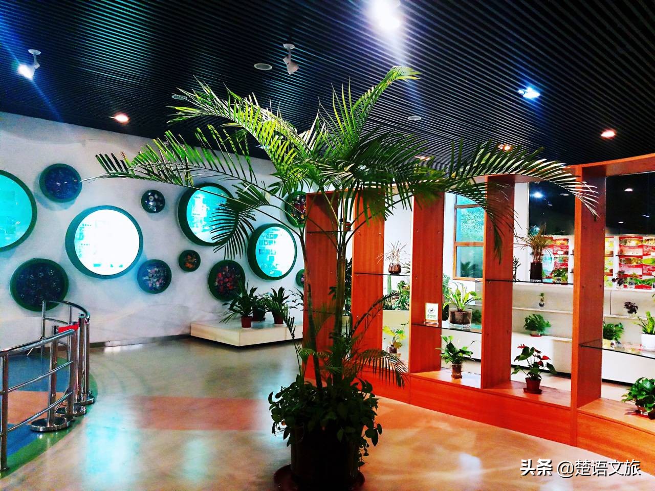 济南泉口湿地森林公园,济南南部山区森林公园推荐