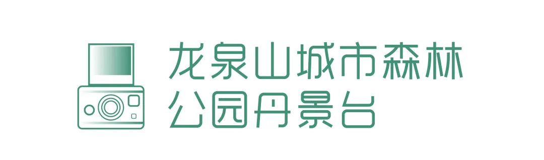 成都哪里的绿道最好,成都绿道最好的地方