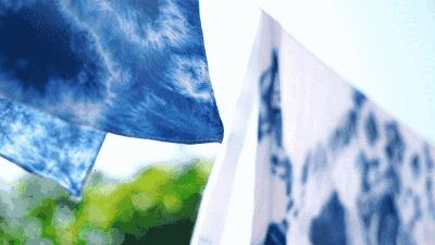 苍山雪云海风景,风花雪月四景分别是什么