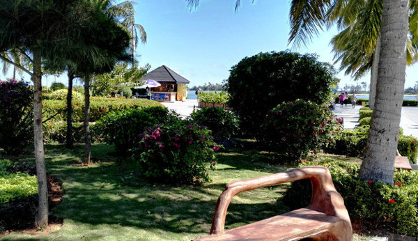 我的海南之旅作文,从海口到三亚感受海南的无限魅力