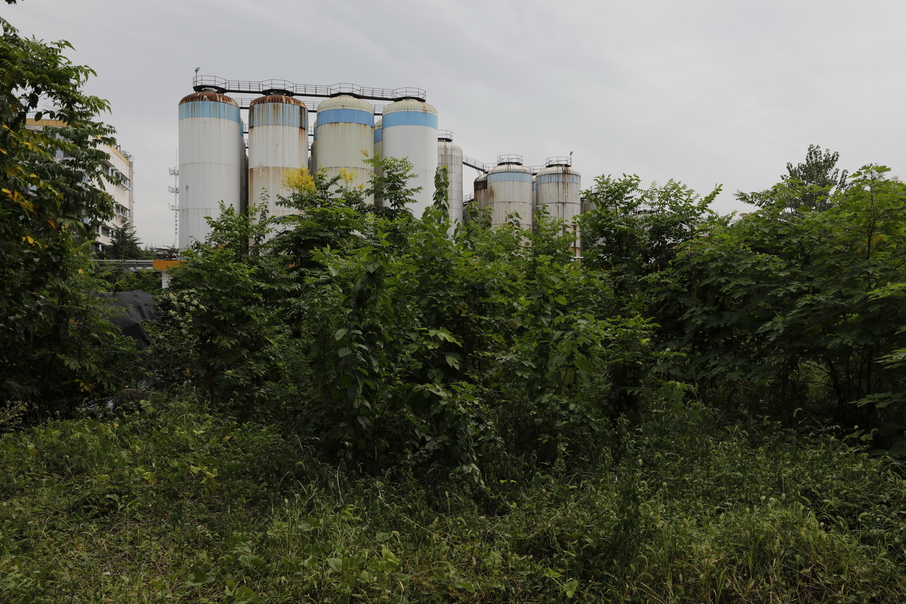 湖北武汉东西湖雪花啤酒,武汉东西湖华润雪花啤酒厂怎么样