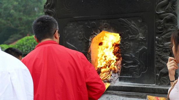 深圳这座城市很美,深圳这座城市风景太美了