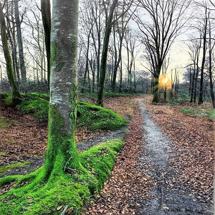 比较有意境的风景油画,最惊艳的艺术油画风景