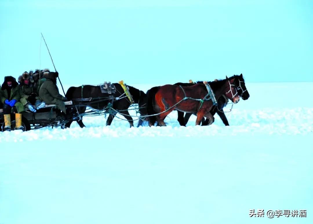 李寻谈酒怎么样,李寻谈酒中国白酒有品牌吗