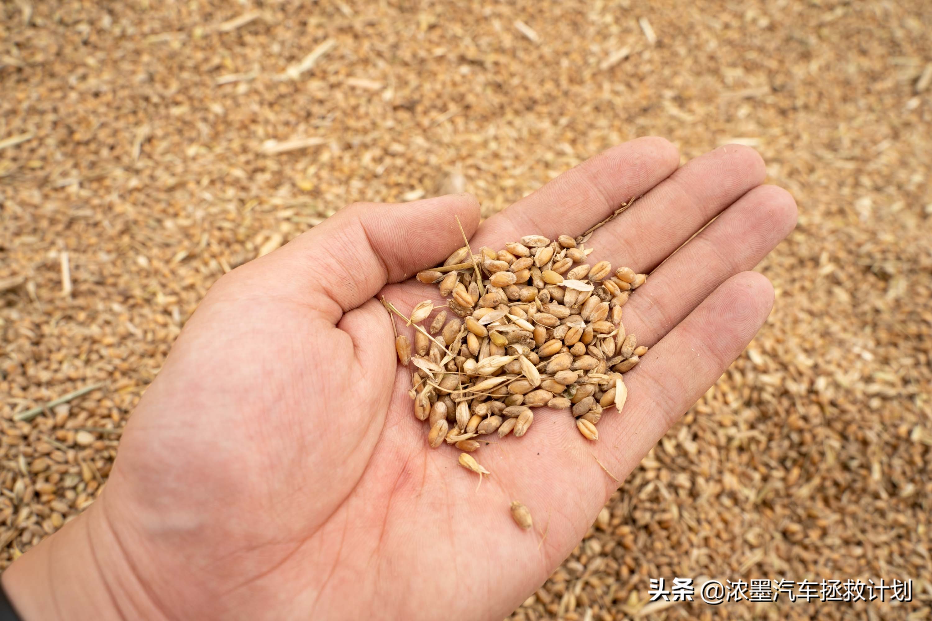 「妙手生花」重建一台战损级桑塔纳，带给它历经千般后的华丽重生