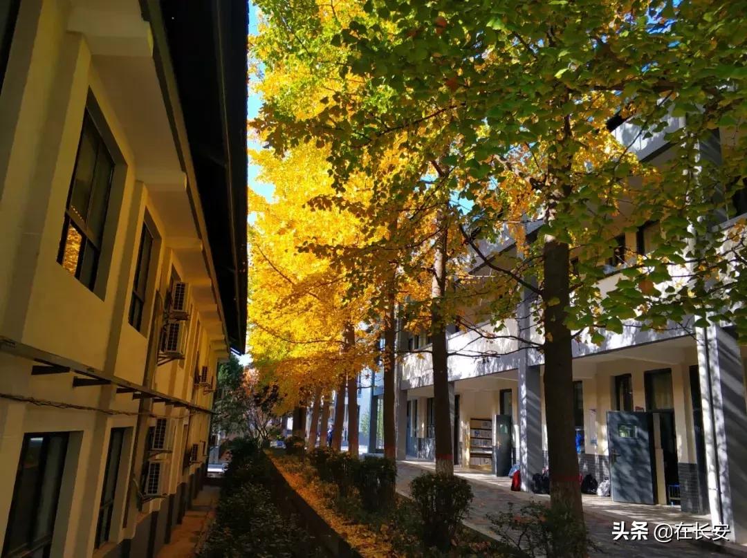 长安一中，长安最好的高中