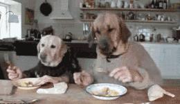 小蓝瓶深补水,女生补水小蓝瓶