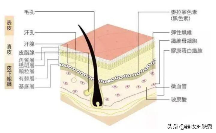 收缩毛孔的最好方法最简单的,收缩毛孔真正有效的方法