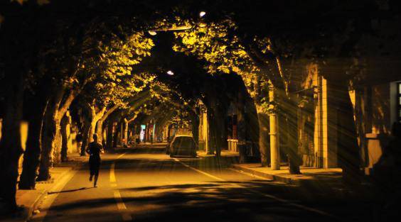 美丽的夜景旅游观光好去处,家门口公园景色真漂亮