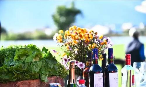 他在大理租下23个足球场大的地方，种菜、养牛、建农场日子过成诗