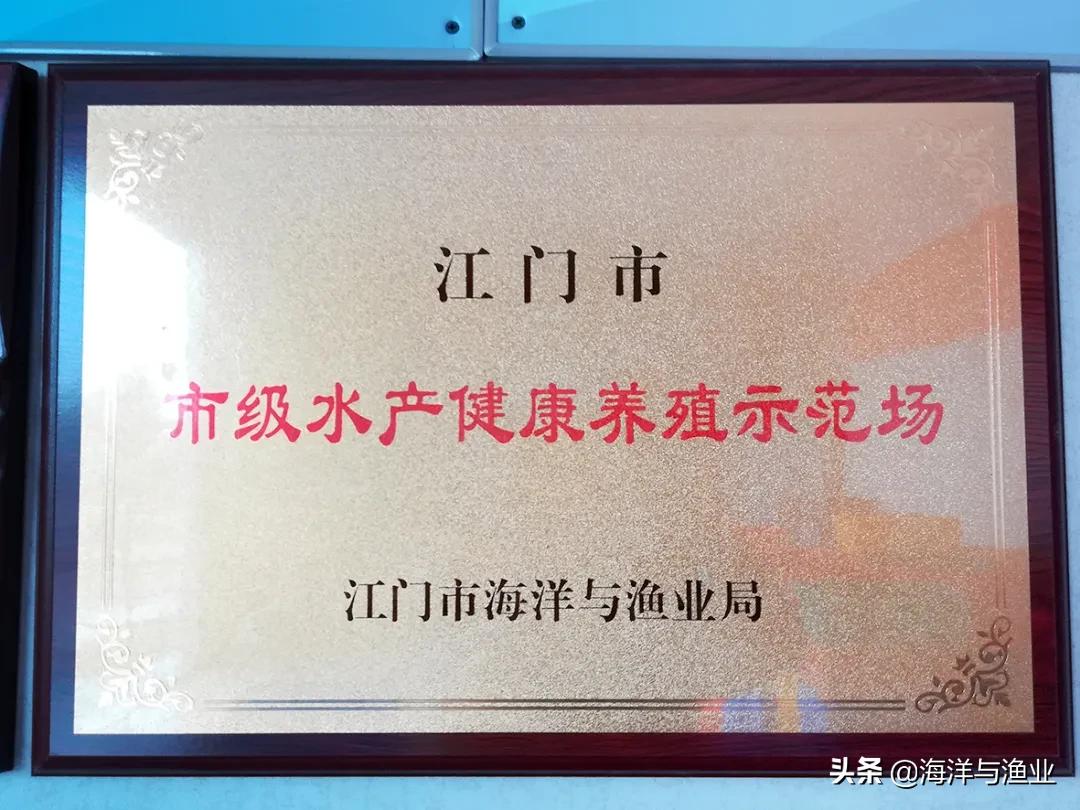 10万以上的龟,荷塘龟谷在线养龟