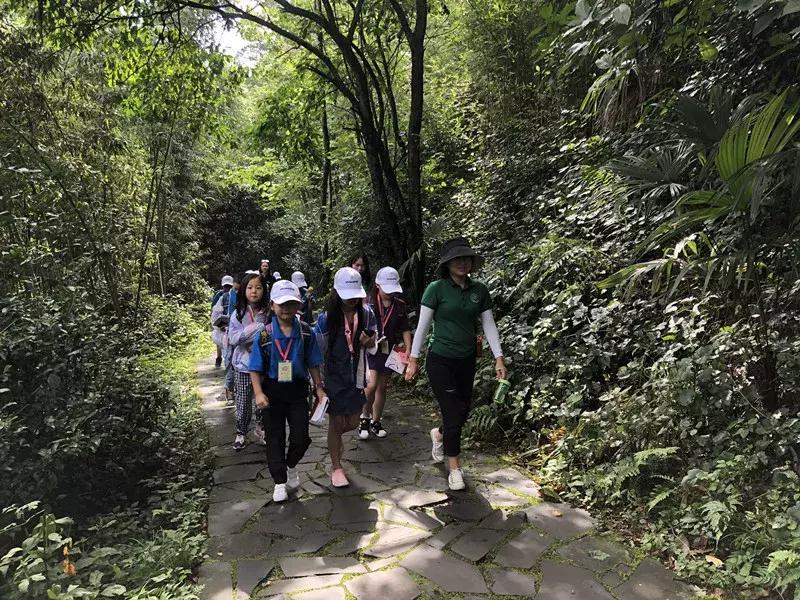 讲解大熊猫,大熊猫科普上课