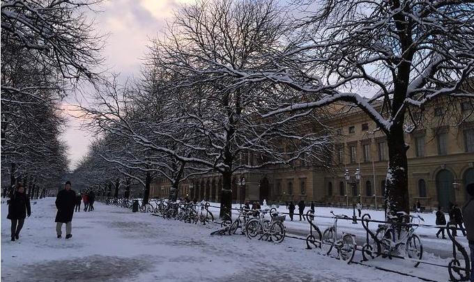 “中国神器”走红比利时,解决当地难题,当地美女直夸:太好用了