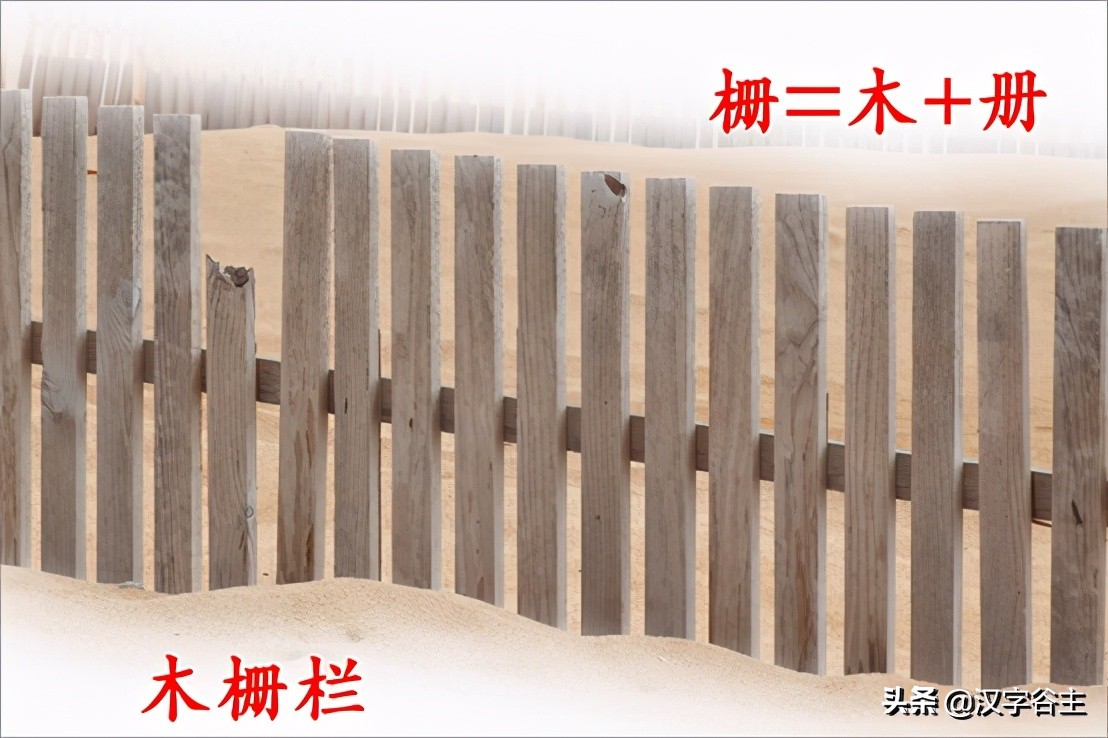 说文博物:从“册”的汉字思维,谈谈大语文应该怎样学?