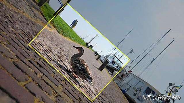 手机摄影后期怎么拍照好看,手机摄影拍照技巧大全