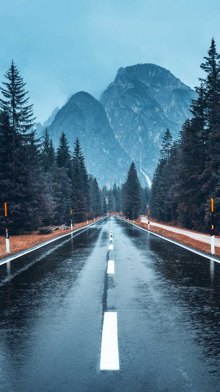 活在手机里,活在手机世界