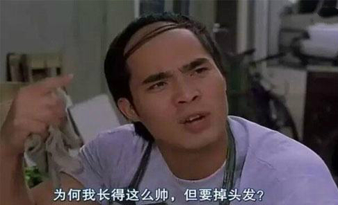 为何我长得这么帅却要掉头发,为何我长得这么帅但要掉头发gif