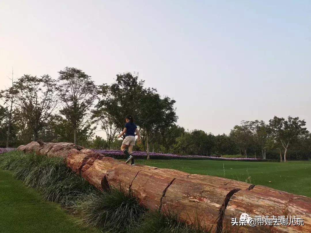 北京最有度假感的酒店，就在金海湖