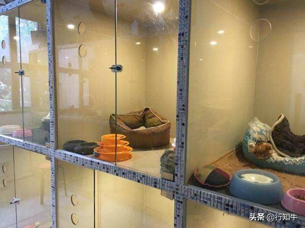 适合45岁小本投资创业项目,5万元小本创业项目比较靠谱