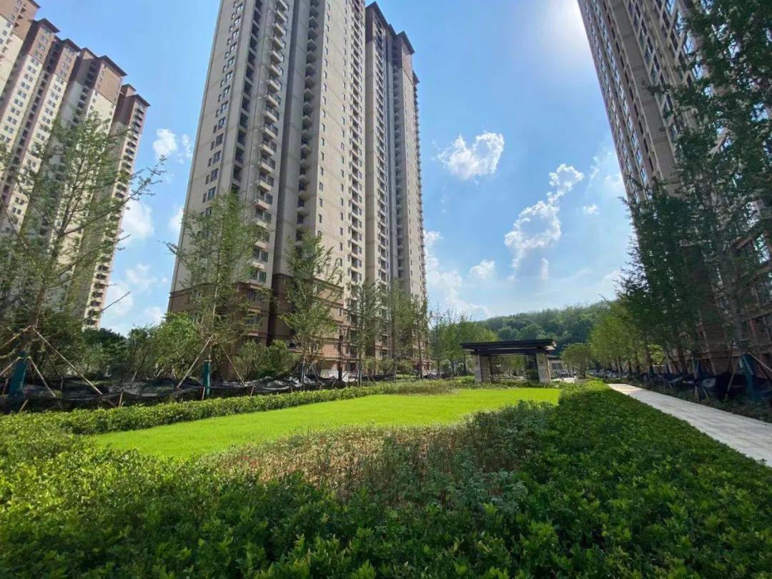 高科，与城市共生长的“城市赋能者”