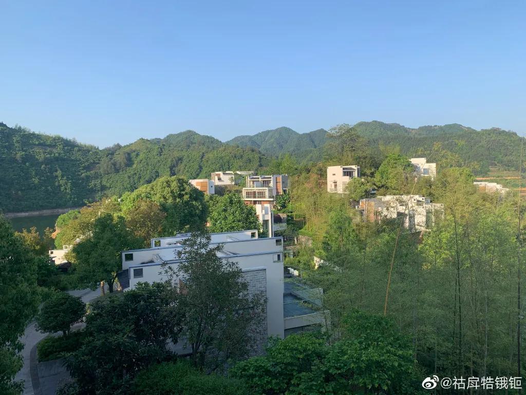 初夏德懋堂，绿树阴浓夏日长