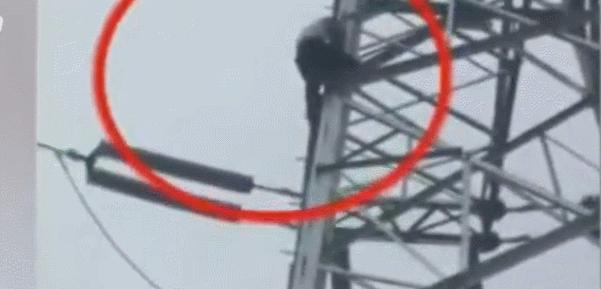 当孩子叛逆和你对着干怎么办,如果孩子以死威胁你你怎么回答