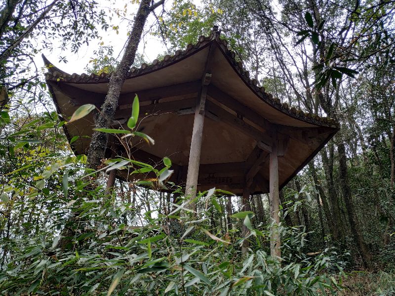 杭州市周末自驾游去哪里好玩,杭州出发周末旅游攻略