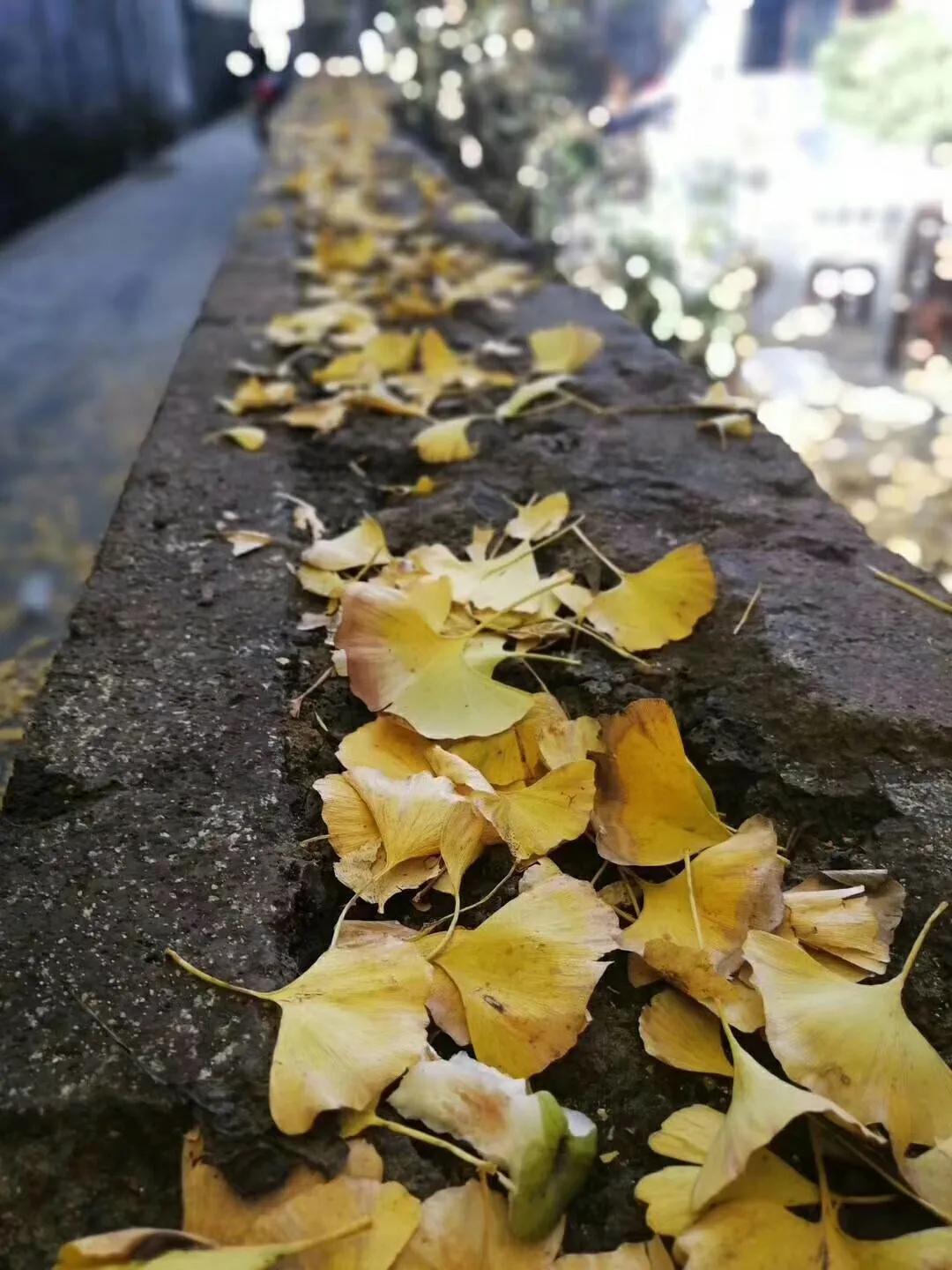 一家三口在大理租房,一家三口的田园生活