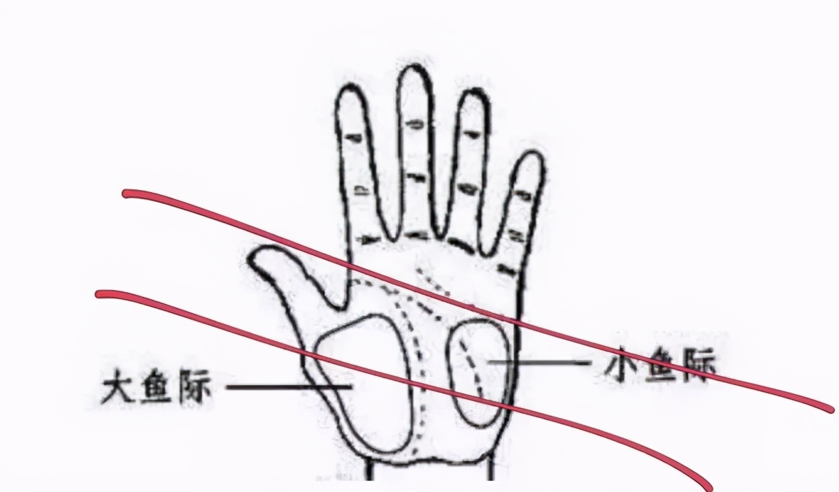 健身如何保养腕关节,健身怎么保护肘关节