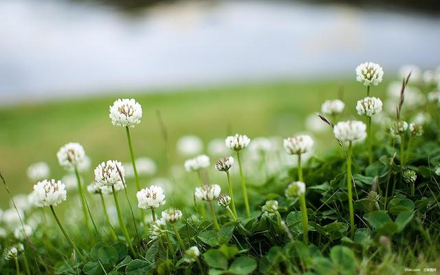 孕妇梅毒1:2对胎儿的影响多大,孕妇梅毒可能导致胎儿畸形吗