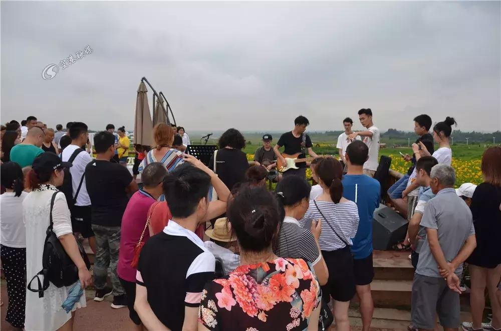 双流哪里可以赏花看飞机,双流附近赏花攻略路线