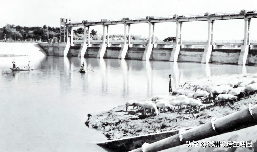 德州庆云县属于中西部城市吗,德州市庆云县发展